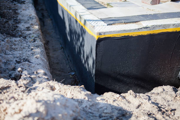 Professional Wet Basement Repair technician working in Darien, GA