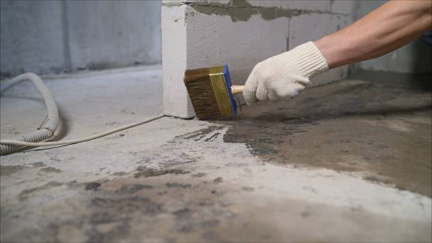 24/7 Emergency Wet Basement Repair experts in Darien, GA